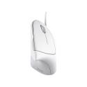 Trust Verto Ergo mouse white (25133)