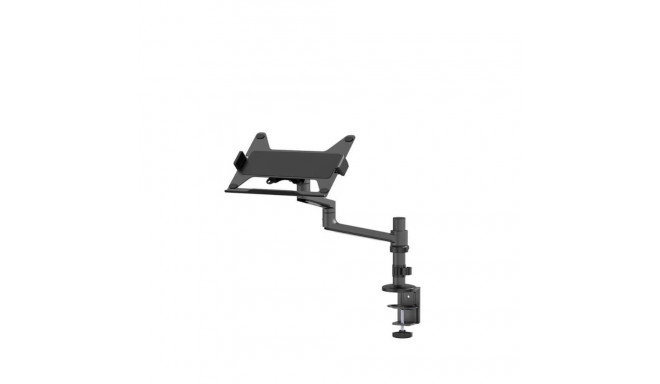 NEOMOUNTS NB ACC DESK STAND 11.6-17.3