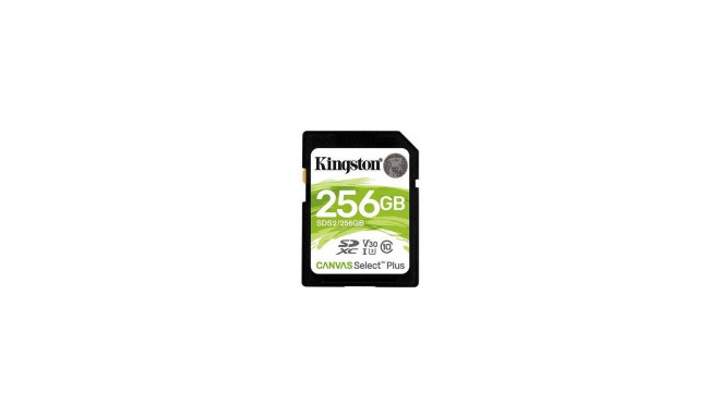 Kingston MEMORY SDXC 256GB C10/SDS2/256GB