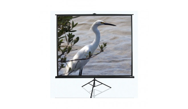 Elite Screens Tripod Series T120NWV1 Diagonal 120