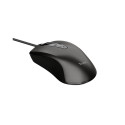 MOUSE BASICS TRUST