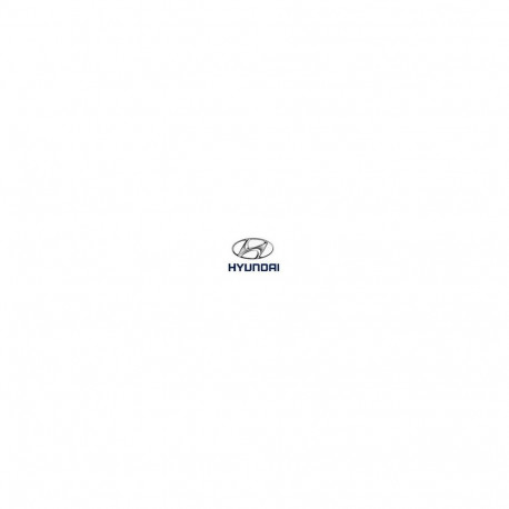 License plate with hyundai logo
