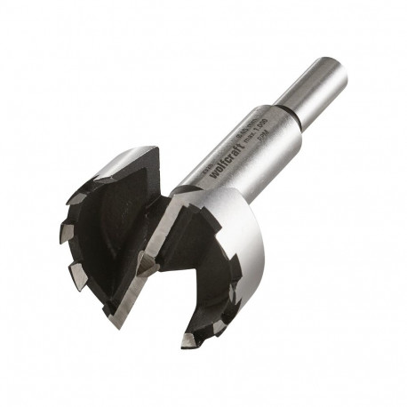 1 FORSTNER PUURVARRE 10 MM