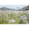 Panasonic Lumix S 24-60mm f/2.8 objektiiv