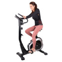 Velotrenazöör Exercise Bike inSPORTline Klegan