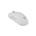 Genesis Zircon 660 PRO juhtmevaba/juhtmega mängurihiir 2.4 GHz, Bluetooth, USB valge