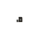 Intenso microSDXC Cards 256GB Class 10 UHS-I Premium