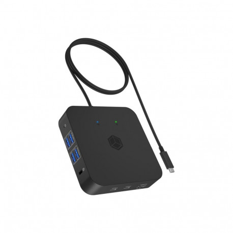 ICY BOX IB-DK4090-C 12-ühes USB Type-C dokk PD-ga kuni 100W