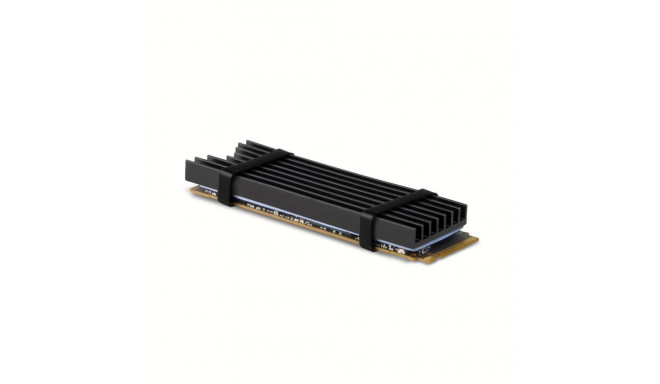 SSD ACC COOLER M.2 2280/6MM CLR-M2L6 AXAGON