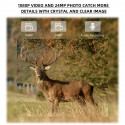 Stealth Gear trail camera Hedgehog 4G