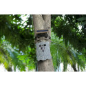 Stealth Gear rajakaamera Owl Solar 4K