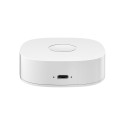 Smart home WS2GW-R WiFi