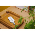 Controller for Smart Alarm Hub