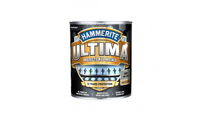 PAINT ULTIMA MATT GREY 0.7L