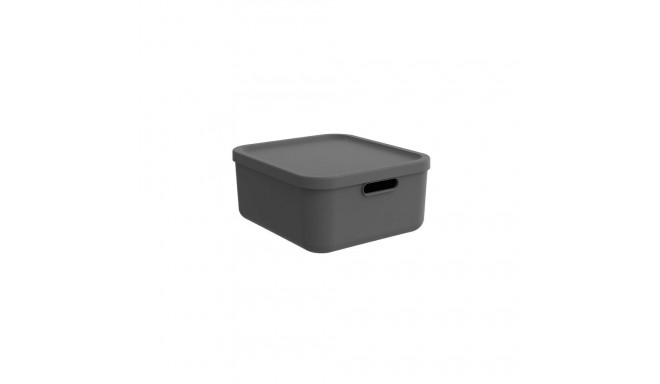 BOX20L ALBULA antratsiithall