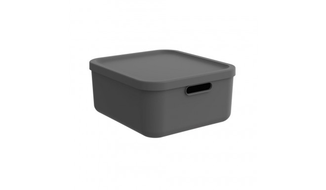 BOX20L ALBULA antratsiithall
