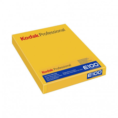 Kodak Ektachrome E100 4x5 10 sheets