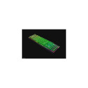 Razer BlackWidow V4 X keyboard Gaming USB QWERTY US English Green