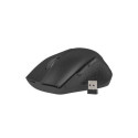 NATEC Stingray keyboard Mouse included Universal RF Wireless QWERTY US English Black