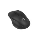 NATEC Stingray keyboard Mouse included Universal RF Wireless QWERTY US English Black