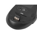NATEC Stingray keyboard Mouse included Universal RF Wireless QWERTY US English Black