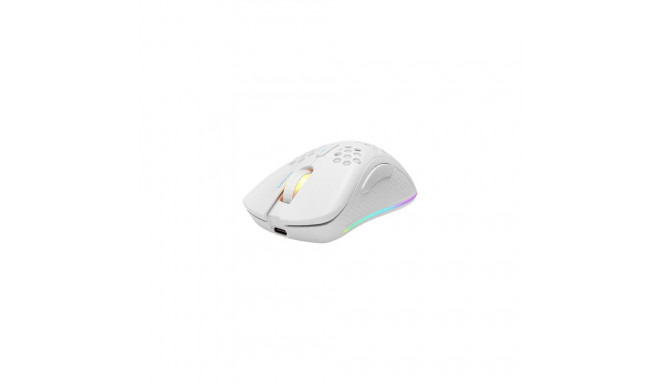 Deltaco GAM-120-W mouse Gaming Right-hand RF Wireless + USB Type-C Laser 6400 DPI