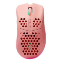 Deltaco GAM-120-P mouse Gaming Right-hand RF Wireless + USB Type-C Laser 4800 DPI