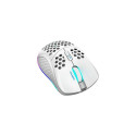Deltaco GAM-120-W mouse Gaming Right-hand RF Wireless + USB Type-C Laser 6400 DPI