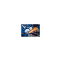 PFERD 61730010 angle grinder accessory