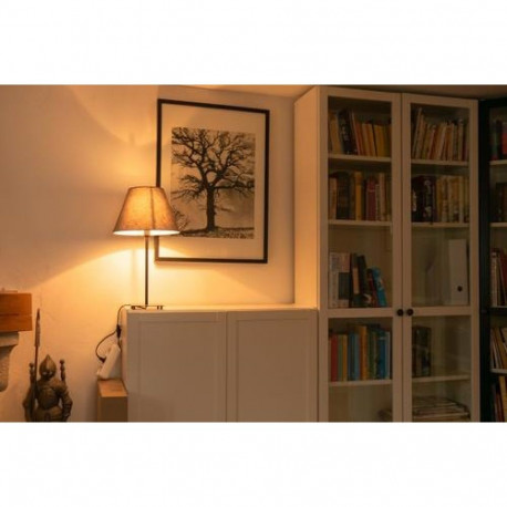 Segula 55216 LED bulb Warm white 2200 K 3 W E14 F