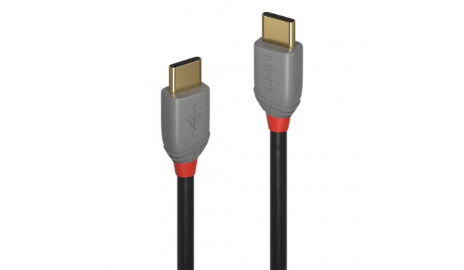 Lindy 0.5m USB 2.0 Type C to C Cable, Anthra Line
