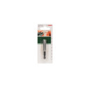 Bosch 2609255900 screwdriver bit holder 25.4 / 4 mm (1 / 4&quot;) 1 pc(s)