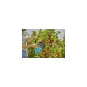 Gardena 17400-20 loose fruit picker