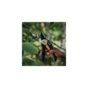 Fiskars Solid P121 pruning shears Bypass Black