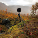 Falcam TreeRoot Quick Lock Pro Tripod T00A4901