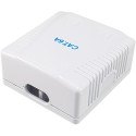 "Equip Aufputzdose Cat6A 2-Port 2x RJ45 UTP"