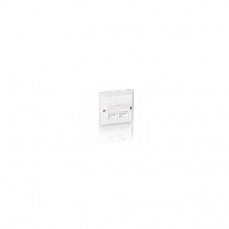 "Equip Unterputzdose nur Frontplatte 2 Keystone 45° RAL 1013"