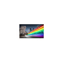 "PHILIPS B-Line 75BFL2214 18/7/UHD/380cd DVB-C/T2 (Speditionsversand)"