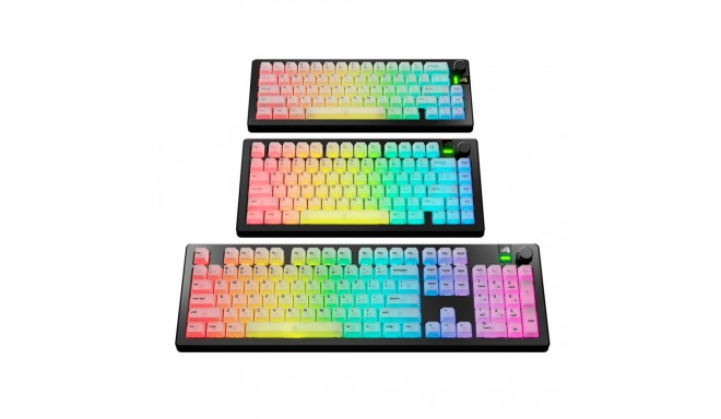 Glorious Gaming Glorious Polychroma V2 RGB klahvikorgid US