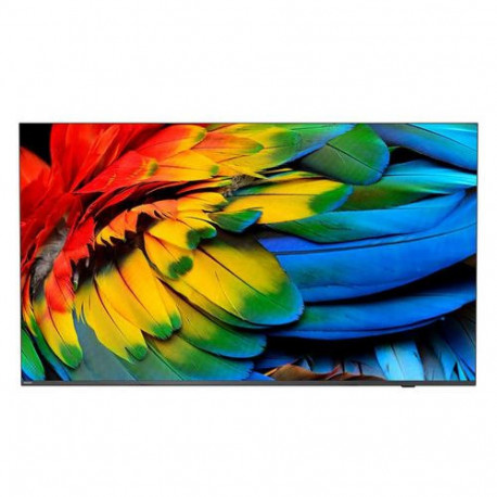 Philips 50HFL6214U 127 cm (50") 4K Ultra HD Smart TV Wi-Fi Anthracite 400 cd/m² Rollable di