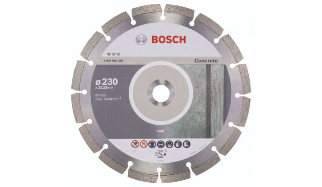Bosch Deim.pjov.diskas BPE 230x22.23 mm