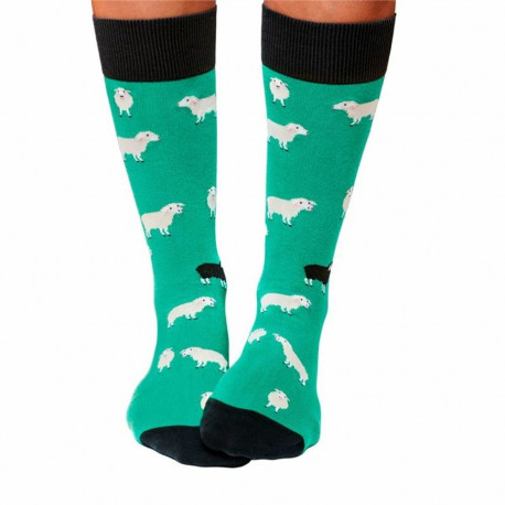 Socks Jimmy Lion Black Sheep Aquamarine 41-46