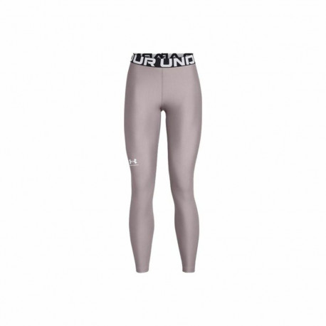 Sport leggings for Women Under Armour Hg Authentics Grey - L