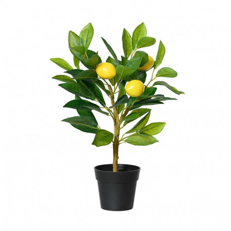 Dekoratiivne Taim Everlands Plastmass Sidrunipuu 17 x 24 x 43 cm