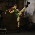 Action Figure Street Fighter