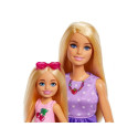 Barbie pere ja sõbrad õed piknikul nukk