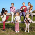 Koń na kiju hobby horse hoppihorse a3 chestnut - brąz, maść kasztanowata