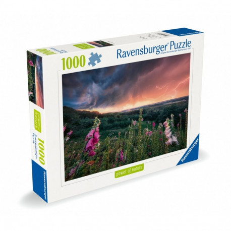 Puzzle 1000 elementów nadchodzi burza