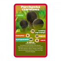 top trumps seenemäng kaardimäng