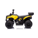 Quad GTS1155 kollane akuga